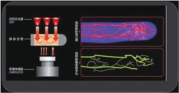 ָ�o�}�R�e���mС���s������